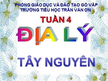 Bài giảng Địa lí Lớp 4 - Tây nguyên