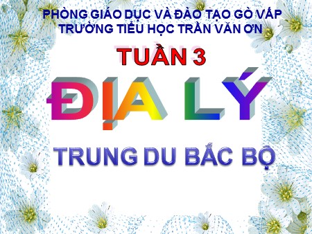 Bài giảng Địa lí Lớp 4 - Trung du Bắc Bộ