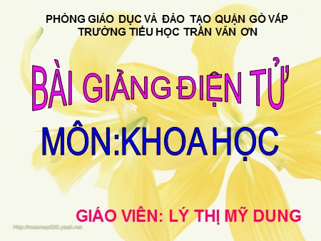 Bài giảng Khoa học Lớp 4 - Bài 31: Không khí có những chất gì?