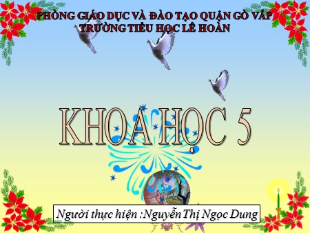 Bài giảng Khoa học Lớp 5 - Bài: Phòng bệnh sốt xuất huyết