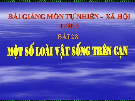 Bài giảng Tự nhiên xã hội Lớp 2 - Bài 28: Một số loài vật sống trên cạn