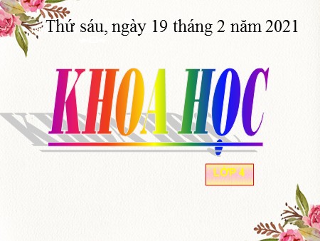 Bài giảng - Bài 46: Bóng tối - Khoa học Khối 4