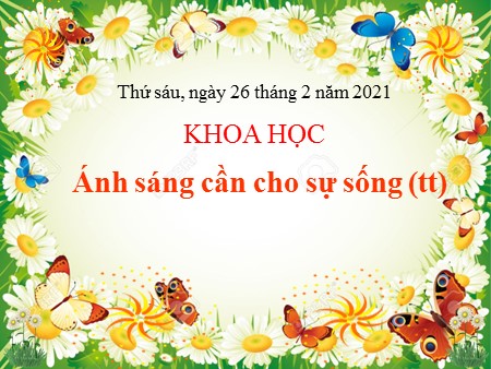 Bài giảng - Bài 47: Ánh sáng cần cho sự sống (tiếp theo) - Khoa học Khối 4