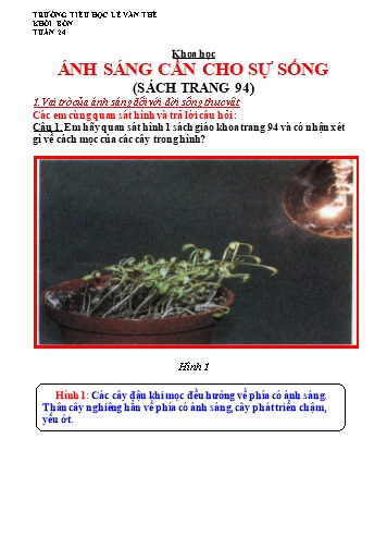 Bài giảng Khoa học Khối 4 - Bài 47: Ánh sáng cần cho sự sống