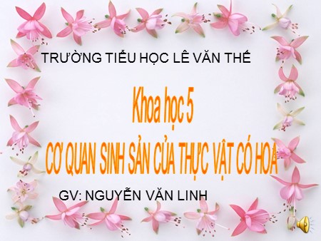 Bài giảng Khoa học Khối 5 - Bài 51: Cơ quan sinh sản của thực vật có hoa