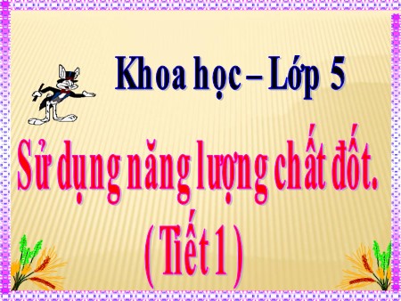 Bài giảng Khoa học Lớp 5 - Bài 42: Sử dụng năng lượng chất đốt (Tiết 1)