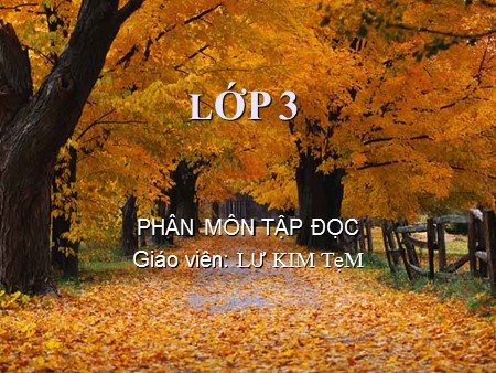 Bài giảng Tập đọc - Tiếng đàn  - tiếng Việt Lớp 3