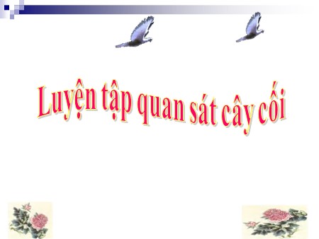 Bài giảng Tập làm văn - Bài: Luyện tập quan sát cây cối - Tiếng Việt Khối 4