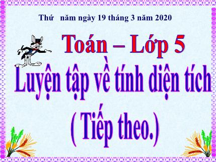 Bài giảng Toán Khối 5 - Bài: Luyện tập về tính diện tích (tiếp theo)