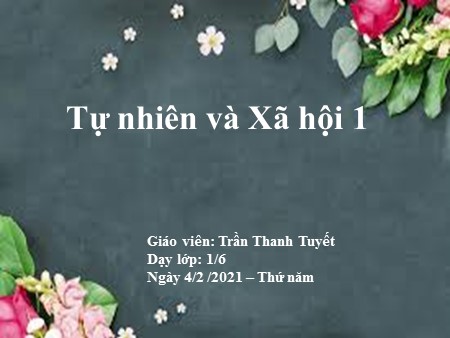 Bài giảng Tự nhiên xã hội Lớp 1 - Bài 21: Ôn tập chủ đề Thực vật và động vật (tiết 1)