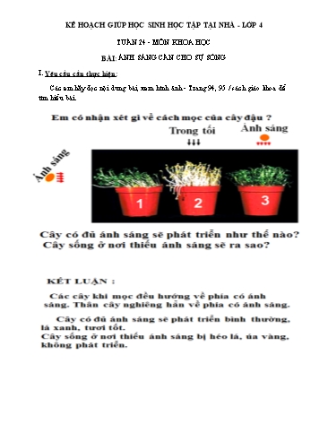 Kế hoạch giúp học sinh học tập tại nhà - Tuần 24: Ánh sáng cần cho sự sống - Khoa học Lớp 4