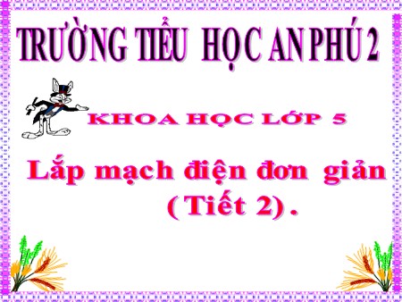 Bài giảng Khoa học Lớp 5 - Bài 46- 47: Lắp mạch điện đơn giản (Tiết 2)