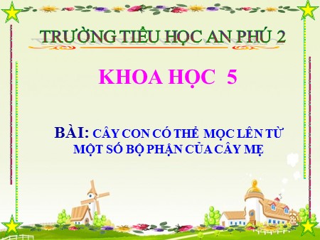 Bài giảng Khoa học Lớp 5 - Bài 54: Cây con có thể mọc lên từ một số bộ phận của cây mẹ - trường TH An Phú 2