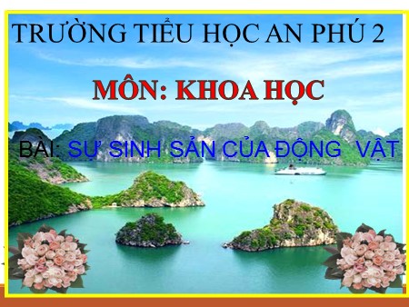 Bài giảng Khoa học Lớp 5 - Bài 55: Sự sinh sản của động vật