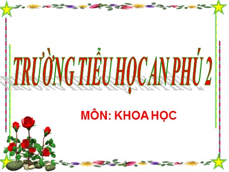 Bài giảng Khoa học Lớp 5 - Bài 56: Sự sinh sản của côn trùng