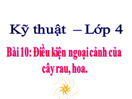 Bài giảng Kỹ thuật Lớp 4 - Bài 10: Điều kiện ngoại cảnh của cây rau, hoa