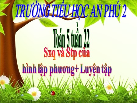 Bài giảng Toán Lớp 5 - Bài: Diện tích xung quanh và diện tích toàn phần của hình lập phương+ Luyện tập