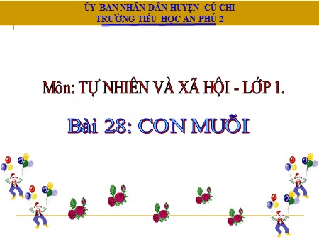 Bài giảng Tự nhiên xã hội Lớp 1 - Bài 28: Con muỗi