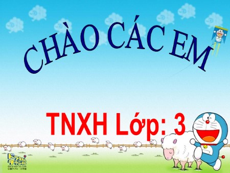 Bài giảng Tự nhiên xã hội Lớp 3 - Bài 54: Thú