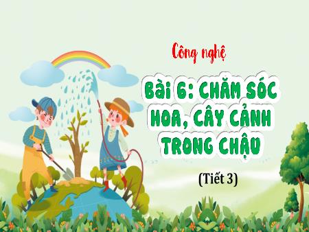 Bài giảng Công Nghệ 4 - Tuần 20, Bài 6: Chăm sóc hoa, cây cảnh trong chậu (Tiết 3)