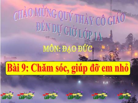 Bài giảng Đạo Đức 1 - Bài 9: Chăm sóc, giúp đỡ em nhỏ