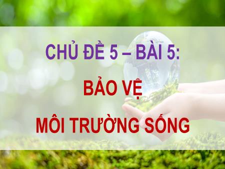 Bài giảng Đạo Đức 5 - Tuần 18, Chủ đề 5, Bài 5: Bảo vệ môi trường sống (Tiết 2)
