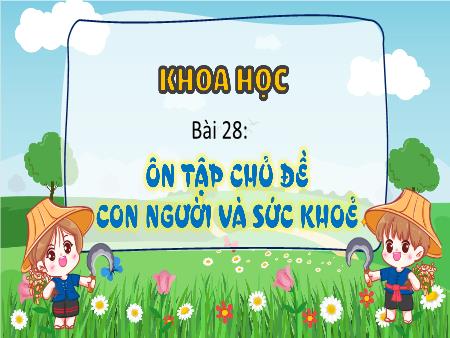 Bài giảng Khoa Học 4 - Bài 28: Ôn tập chủ đề Con người và sức khỏe