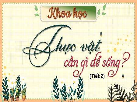 Bài giảng Khoa Học 4 - Tuần 15, Bài 15: Thực vật cần gì để sống (Tiết 2)