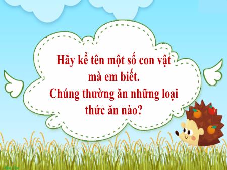 Bài giảng Khoa Học 4 - Tuần 16, Bài 30: Động vật cần gì để sống? (Tiết 1)