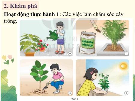 Bài giảng Khoa Học 4 - Tuần 17, Bài 17: Chăm sóc cây trồng, vật nuôi
