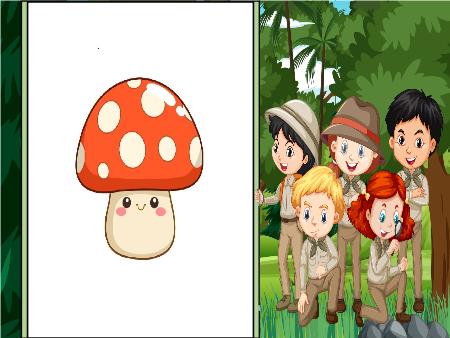 Bài giảng Khoa Học 4 - Tuần 19, Bài 19: Đặc điểm chung của nấm (Tiết 1)