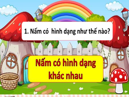 Bài giảng Khoa Học 4 - Tuần 20, Tiết 39, Bài: Đặc điểm chung của nấm