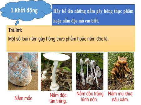 Bài giảng Khoa Học 4 - Tuần 21, Bài 21: Nấm gây hỏng thực phẩm và nấm độc