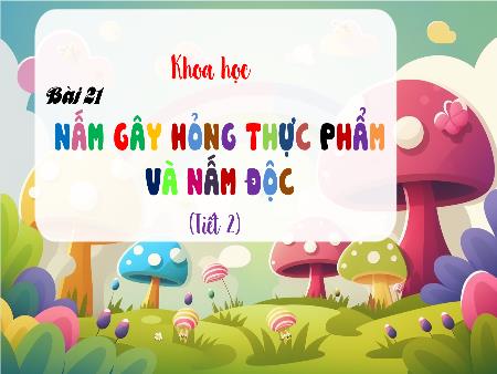 Bài giảng Khoa Học 4 - Tuần 22, Bài 21: Nấm gây hỏng thực phẩm và nấm độc (Tiết 2)