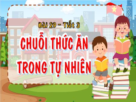 Bài giảng Khoa Học 4 - Tuần 31, Bài 29: Chuỗi thức ăn trong tự nhiên (Tiết 3)