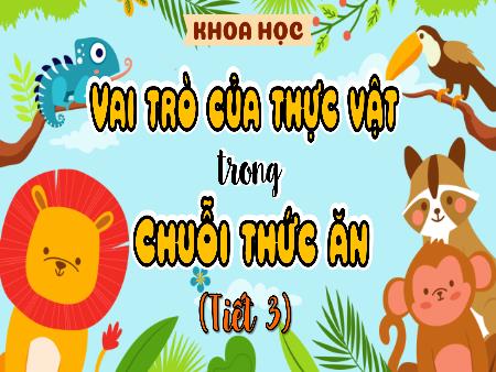 Bài giảng Khoa Học 4 - Tuần 33, Bài 30: Vai trò của thực vật trong chuỗi thức ăn (Tiết 3)