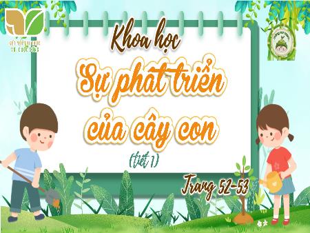 Bài giảng Khoa Học 5 (Kết nối tri thức) - Bài 14: Sự phát triển của cây con (Tiết 1)