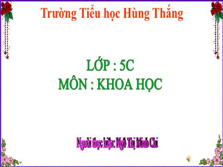Bài giảng Khoa Học 5 (Kết nối tri thức) - Tuần 13, Bài 12: Ôn tập chủ đề năng lượng (Ngô Thị Minh Chi)