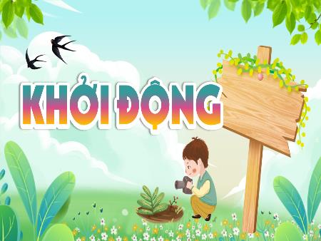 Bài giảng Khoa Học Lớp 4 - Tuần 30, Bài 29: Chuỗi thức ăn trong tự nhiên