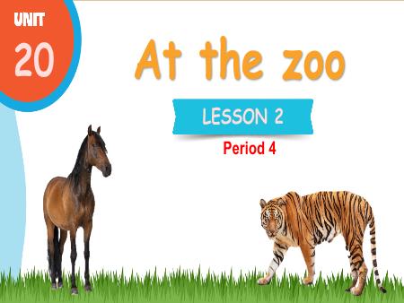 Bài giảng Tiếng Anh 3 Global Success - Tuần 34, Unit 20: At the zoo - Lesson 2, Period 4