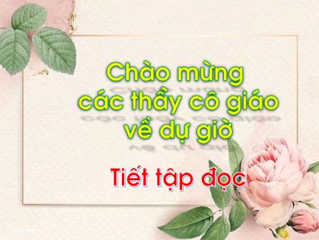 Bài giảng Tiếng Việt 1 - Đọc: Tiếng vọng của núi