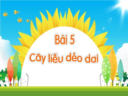 Bài giảng Tiếng Việt 1 - Tuần 30, Chủ đề 6. Bài 5: Cây liễu dẻo dai