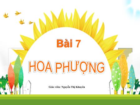 Bài giảng Tiếng Việt 1 - Tuần 32, Bài 7: Hoa phượng (Nguyễn Thị Khuyên)