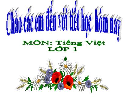 Bài giảng Tiếng Việt 1 - Tuần 34, Bài 4: Ruộng bậc thang ở Sa Pa (Nguyễn Thị Son)