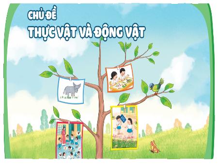 Bài giảng TNXH 1 - Bài 16: Chăm sóc và bảo vệ cây trồng (Tiết 1+2)