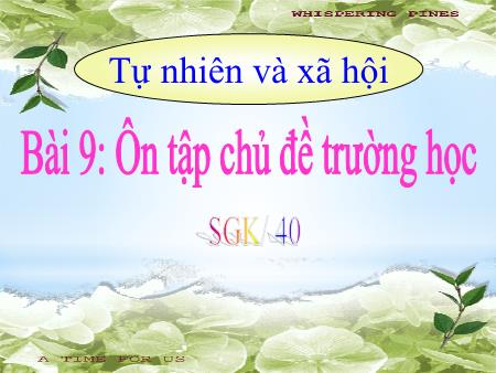 Bài giảng TNXH 1 - Tuần 11, Bài 9: Ôn tập chủ đề Trường học