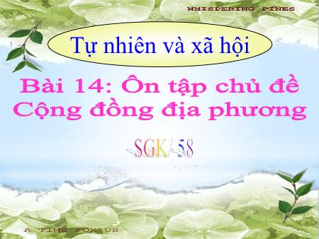 Bài giảng TNXH 1 - Tuần 17, Bài 14: Ôn tập chủ đề Cộng đồng địa phương