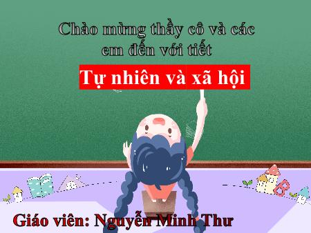 Bài giảng TNXH 1 - Tuần 8, Bài 7: Cùng khám phá trường học (Tiết 1)(Nguyễn Minh Thư)
