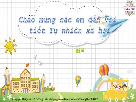 Bài giảng TNXH 2 - Bài 3: Phòng tránh ngộ độc khi ở nhà