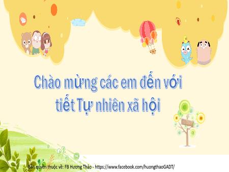 Bài giảng TNXH 2 - Bài 4: Giữ sạch nhà ở